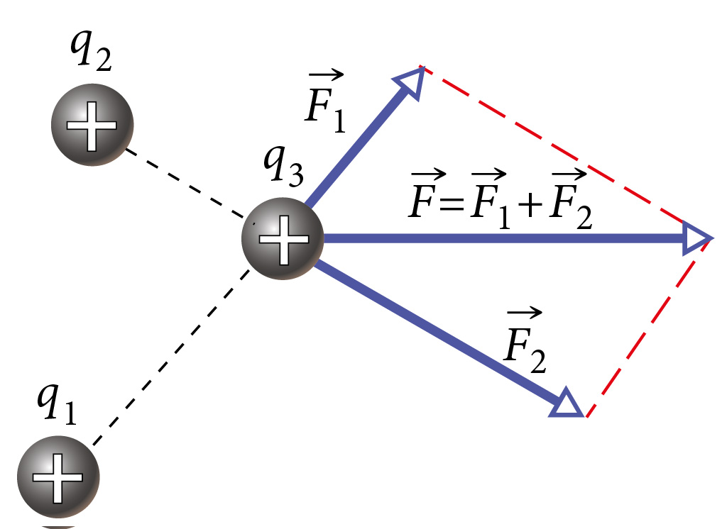 Terminoloogia illustratsioon