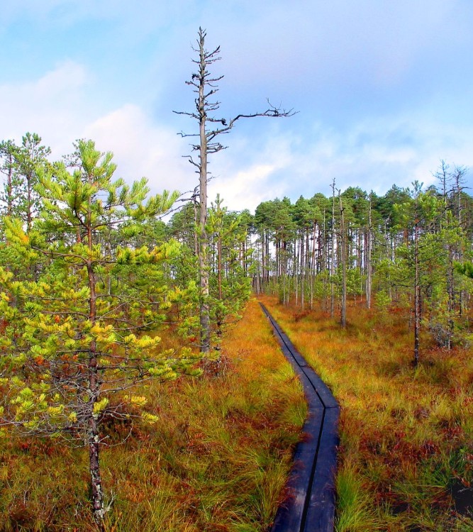 Seminari illustratsioon